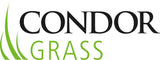 condor grass